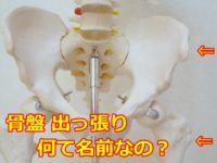 腰骨 出っ張り 名前 ってあるの？