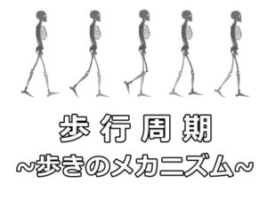 歩行周期 を知って正しい歩き方を身につけよう