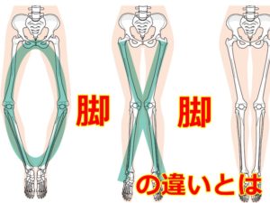 O脚 X脚 違い とは何か？