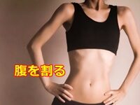 腹を割る と出る横線を腱画といいます