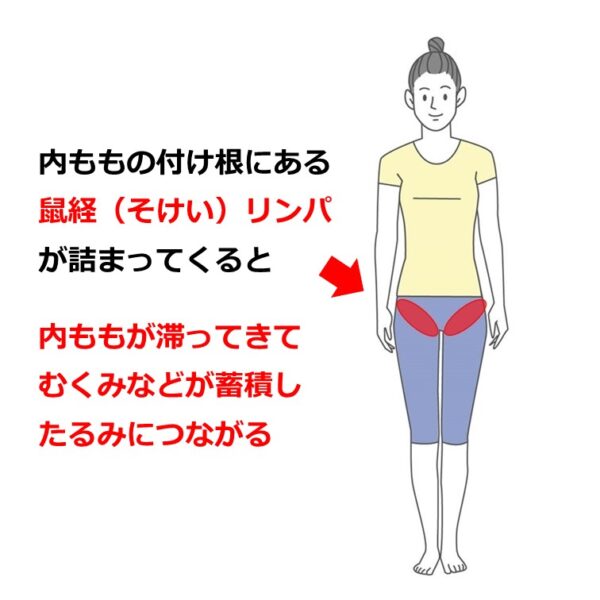 太ももの付け根だけ太い 内ももの使い方がカギ！ カイラックス