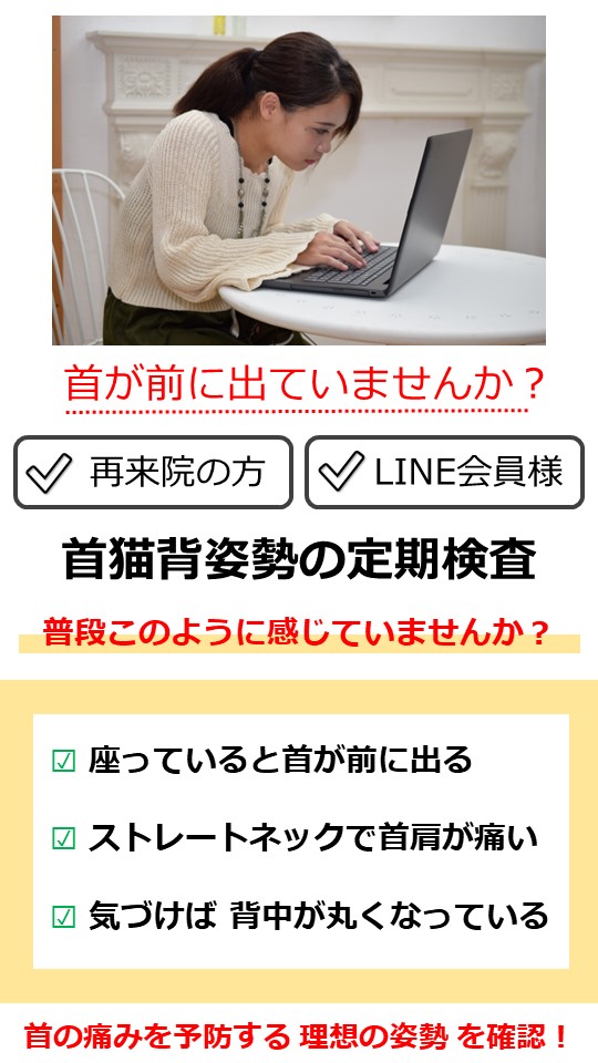 ストレートネックでお困りではありませんか？